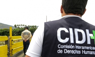 Comisión Interamericana de Derechos Humanos (CIDH)