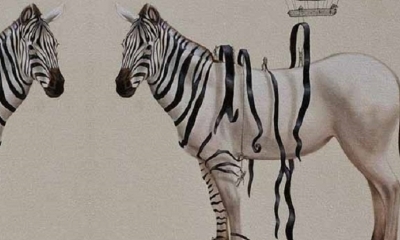 Imagen ilustrativa/Foto. Internet