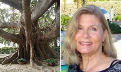 Karen Cooper se ha 