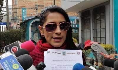 Alanoca presentó el proyecto ante la Asamblea Legislativa.
