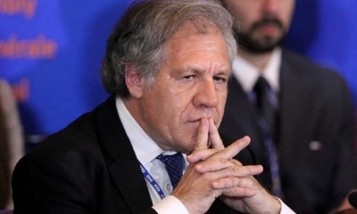 Gobierno sube de tono contra la OEA