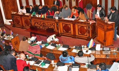 La Asamblea Legislativa Plurinacional 