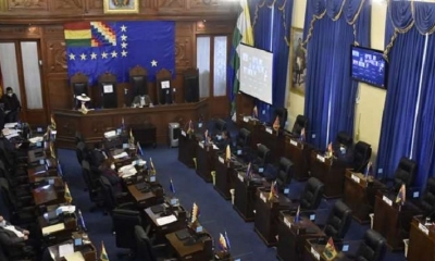 El hemiciclo de la Cámara de Senadores de la ALP. Foto:Prensa Senedo