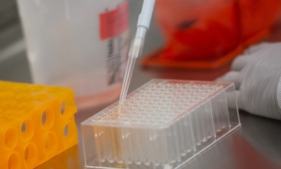 Novavax en EEUU, es uno de los laboratorios que desarrolla una vacuna contra el coronavirus. Foto: AFP