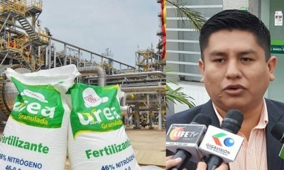 La producción de la planta está paralizada y diputado Cabrera exige reactivarla