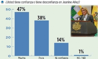 Después de que la presidenta Jeanine Añez anunciara su candidatura a la Presidencia, la desconfianza en ella  creció