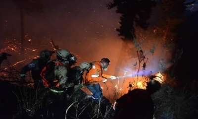 Personal de la Gobernación, la Alcaldía y del mismo parque se movilizó para sofocar el fuego