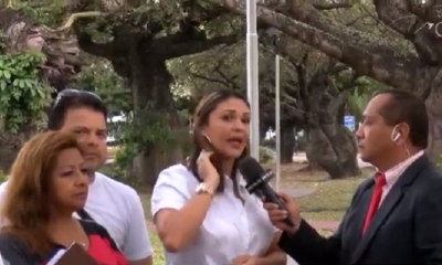 Activistas lucharan por los árboles/Foto. Captura de pantalla 