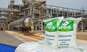 Planta de urea y amoniaco en Bulo Bulo