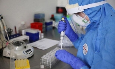 Trabajadora de salud procesa muestras con coronavirus en un laboratorio en Polonia (referencial) | Fuente: EFE