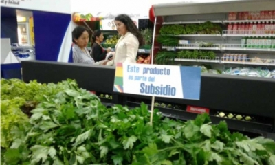 El subsidio tendrá productos recomendados por el Ministerio de Salud para una correcta alimentación de la mamá y el bebé.