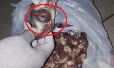 La droga encontrada en el interior de los corazones de pollo/Foto. PB