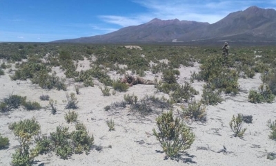Dos Sargentos perdieron  la vida a manos de contrabandistas/Foto. RRSS