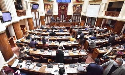 La Cámara de Diputados. | APG