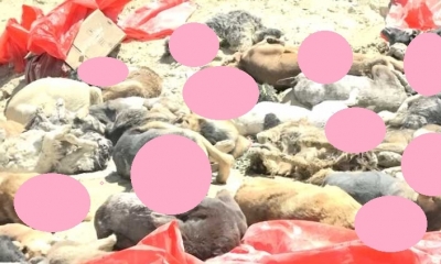 Activistas denunciaron la masacre/Foto. RRSS