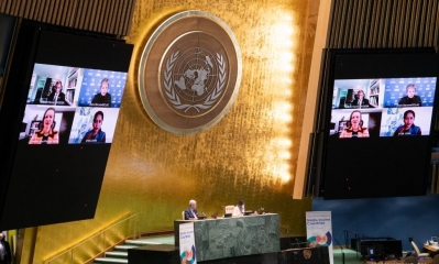 Organización de las Naciones Unidas (ONU)