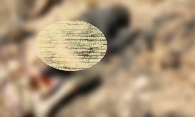 Las investigaciones continúan/Foto. RRSS