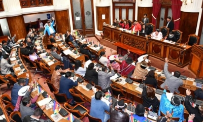 Cámara de Diputados. Foto archivo | @Diputados_Bol