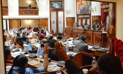 Legisladores de la Cámara de Diputados aprueban la norma.
