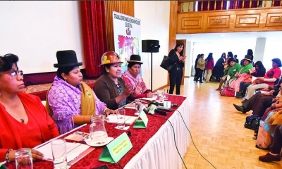 Representantes de 14 organizaciones indígenas presentaron ayer el anteproyecto