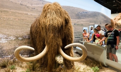 Dar vida a criaturas extintas es el elemento vital de la ciencia ficción