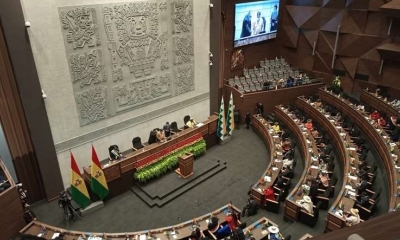 La Asamblea Legislativa Plurinacional.