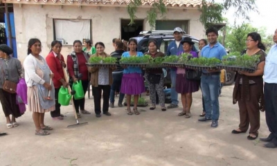 Productores con Plantines de Papaya