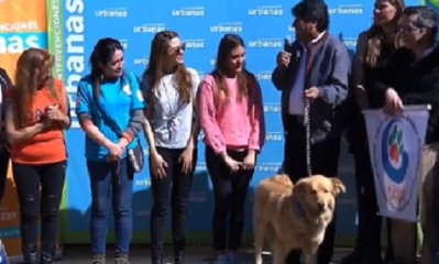 Ringo es el nombre de la mascota/Foto: Captura de pantalla