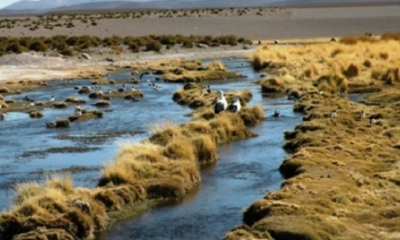 Segmento de las aguas del Silala que fueron reencauzadas en territorio boliviano. 