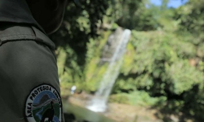 Un Guarda parques observa la Cascada Dinosaurio