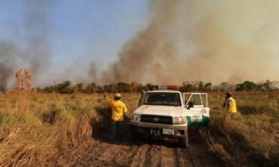 Incendios forestales en Santa Cruz. Foto archivo | Gobernación de Santa Cruz
