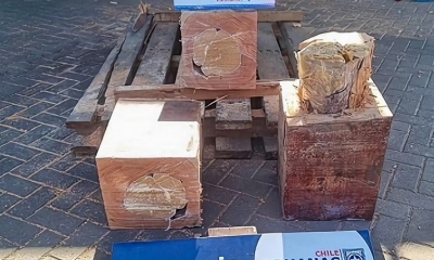 Troncos de madera aserrada, proveniente de Bolivia y con destino a Emiratos Árabes