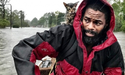 Robert Simmons Jr. y su gatito “Survivor” son rescatados tras el paso del Huracán Florence en New Bern 