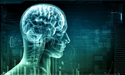 Se realizó estimulando el clítoris de 20 mujeres mientras se realizaba una resonancia magnética de sus cerebros.