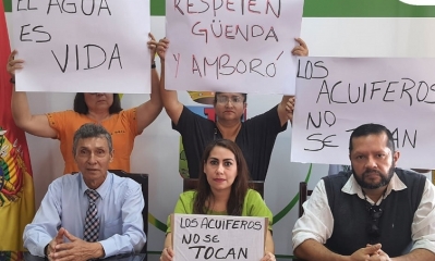 La diputada, María José Salazar. ( C ) 