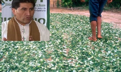 En estos días ingresaran al Chapare/Foto. Kandire