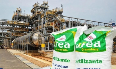 Imagen Ilustrativa. Foto: Internet