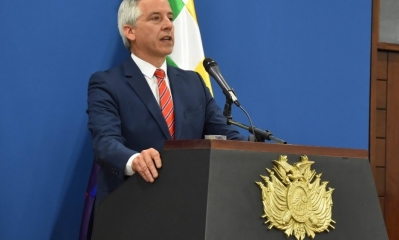 Álvaro García Linera/Foto.Vicepresidencia