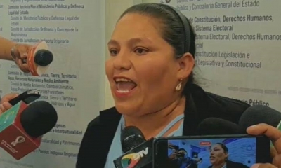 Foto/ Captura de video: La diputada del MAS, Deisy Choque.