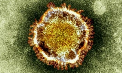 Esta fotografía, cortesía de la Agencia Británica de Protección de la Salud, muestra el nuevo coronavirus visto bajo un microscopio electrónico. 