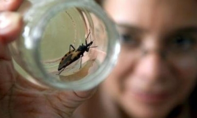 Es causada por un parásito transmitido por el insecto Trypanosoma cruzi.