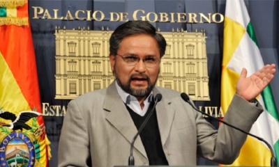 Viceministro Alfredo Rada