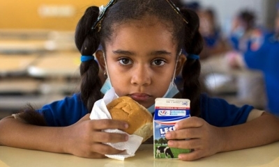 Una generación entera está 