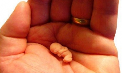 IMAGEN REFERENCIAL/ Foto. RRSS