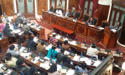 En la Cámara de Diputados se debate el proyecto de ley contra el contrabando. Foto: ANF