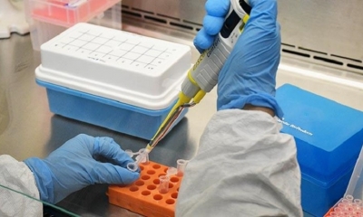 El laboratorio de prueba de Covid-19