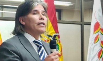 El viceministro de Vivienda, Vladimir Ameller. | ABI