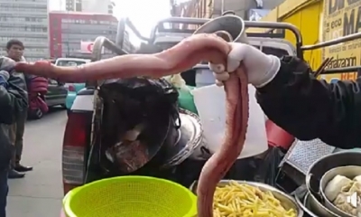 Los dueños aseguraron que la carne era para consumo propio/Foto. RRSS