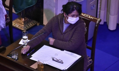 La presidenta del Senado, Eva Copa, en una sesión anterior. Foto: APG