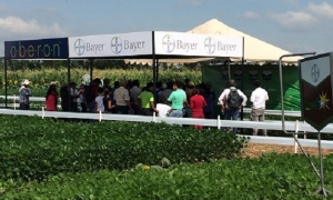 Stand de Bayer